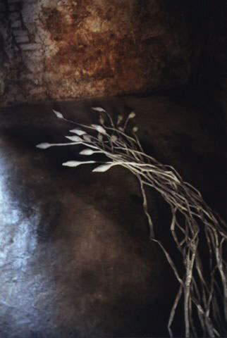 Abbraccio, 1996