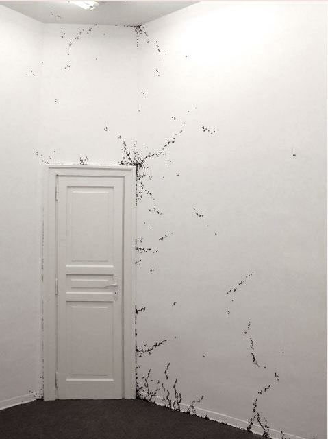 Senza titolo, 2003