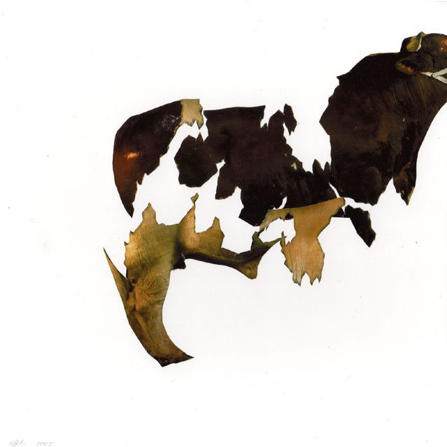 Senza titolo, 2005