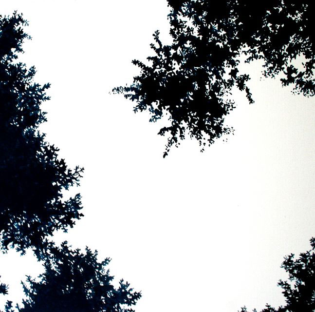 Still 1#, 2006