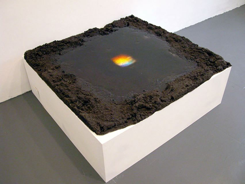 Reflected reflection, 2005
