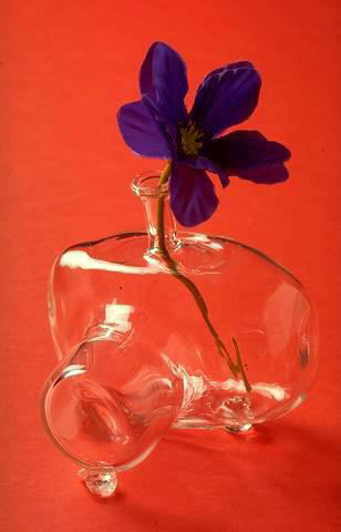 Lost-Shot (Scatti-perduti), 1996