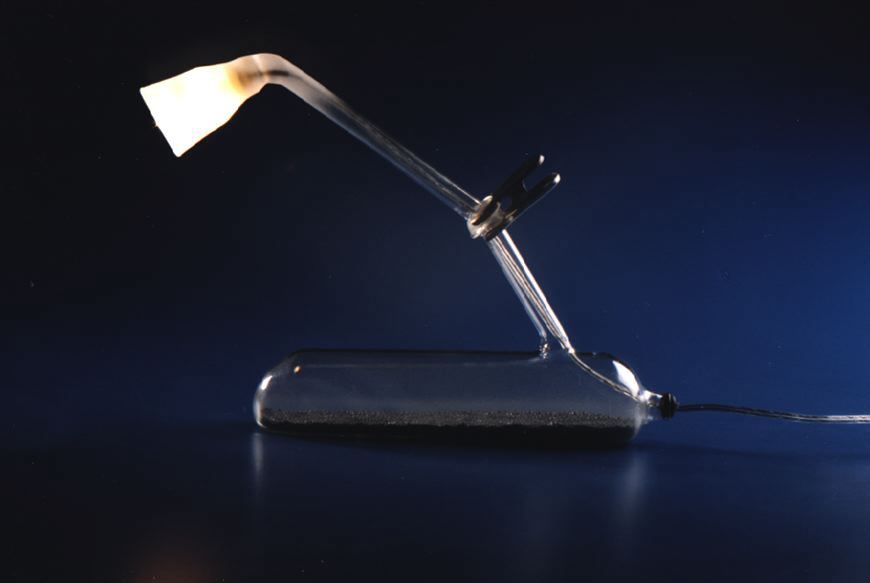 Locusta, 1996