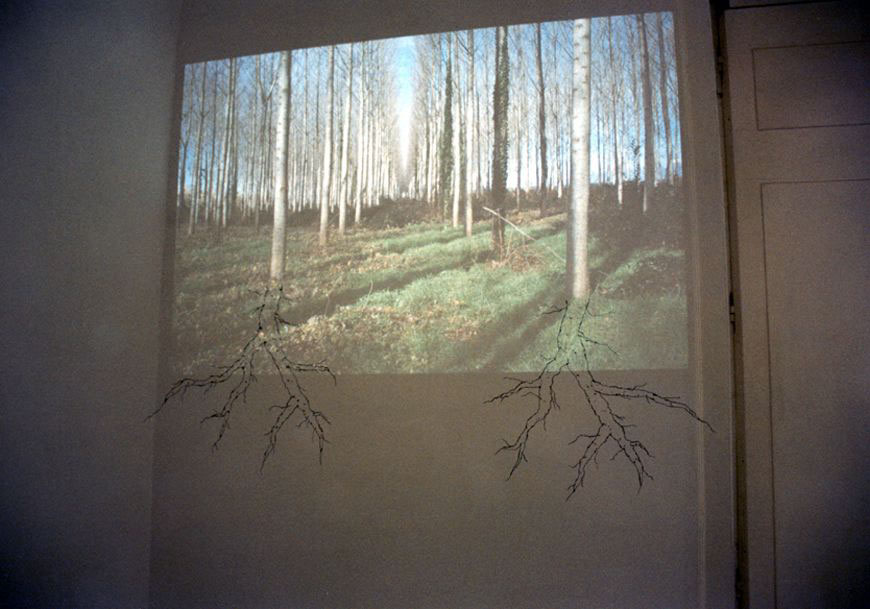 Senza titolo, 2003