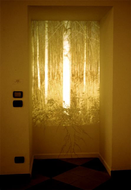 Senza titolo, 2004
