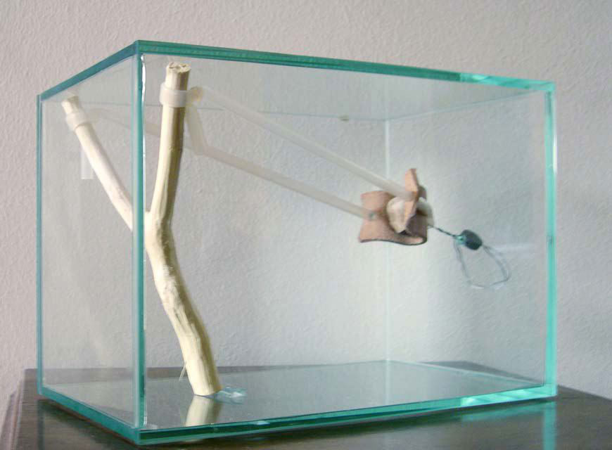 9000 cm cubi, 2003
