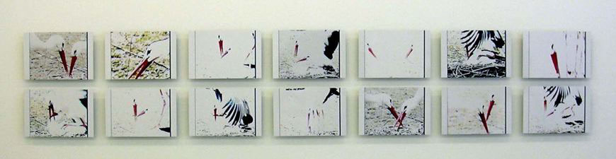 Bill clattering, 2004