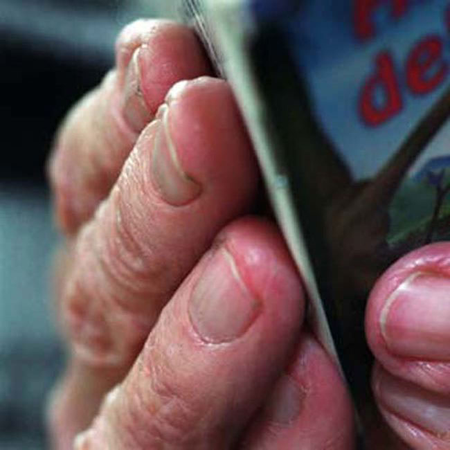 A che cosa serve un libro senza figure nè dialoghi?, 2005