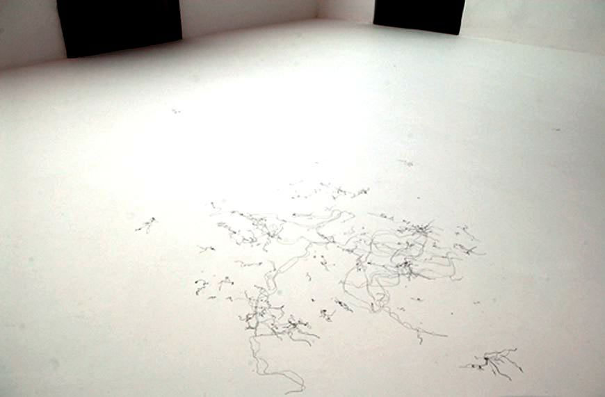 Senza titolo (Ambiente n.7), 2005