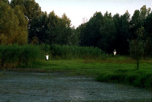 Senza titolo, 1996