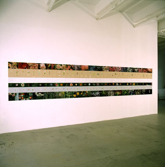 Iride’s diary, 1998