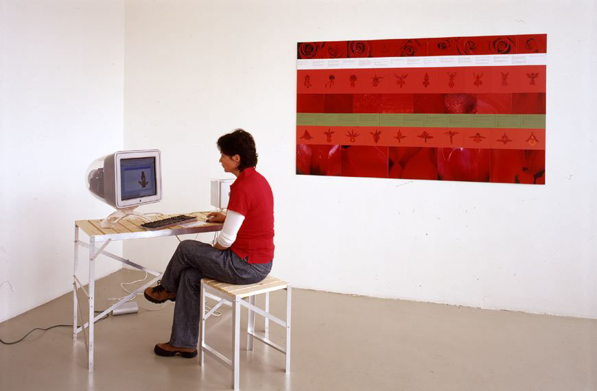 Iride, 2001