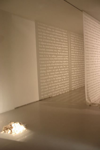 The Indifferent Back Of A View Rather Than Its Face, 2009