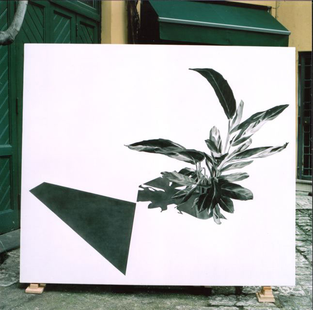Tempesta, 2003