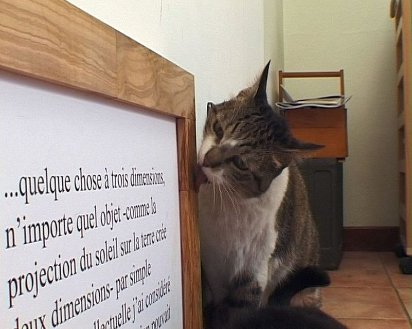 Ogatti, 2005