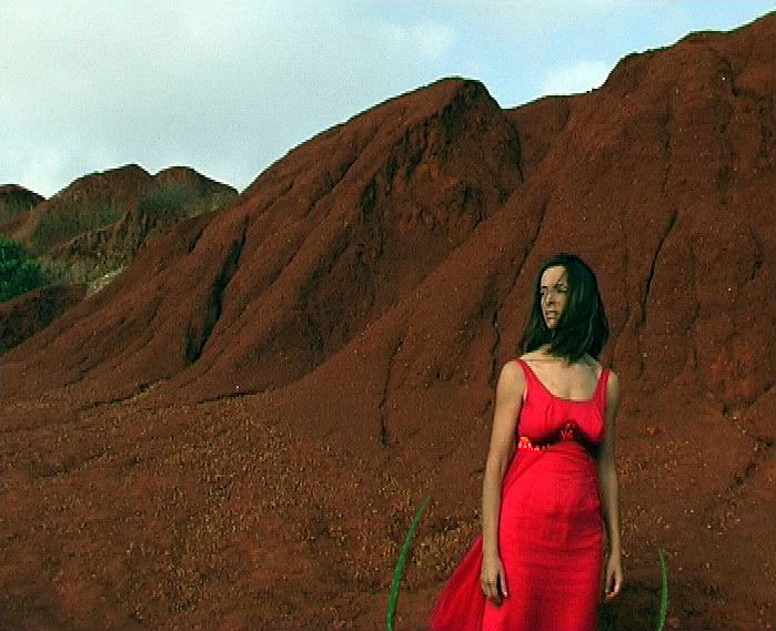 Blooming, 2004