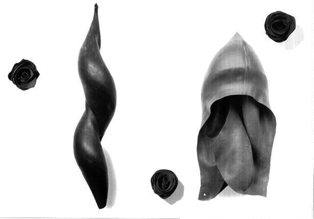 Camera d’aria; Rose, 1991-92