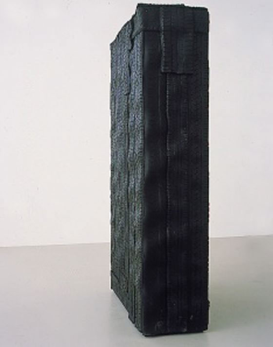 Senza Titolo (colonna), 2005