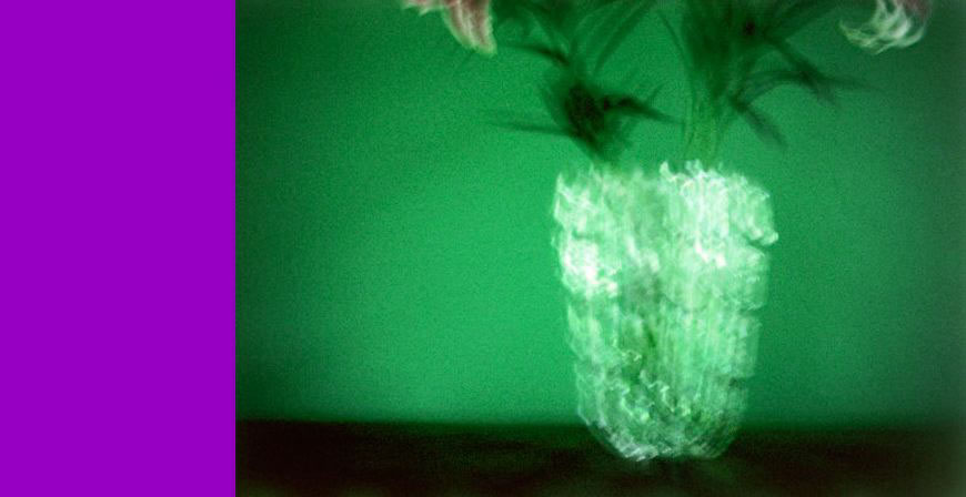 Horto/Vaso 1, 2002