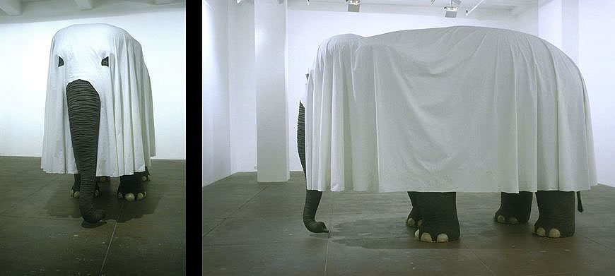 Not Afraid of Love, 2000