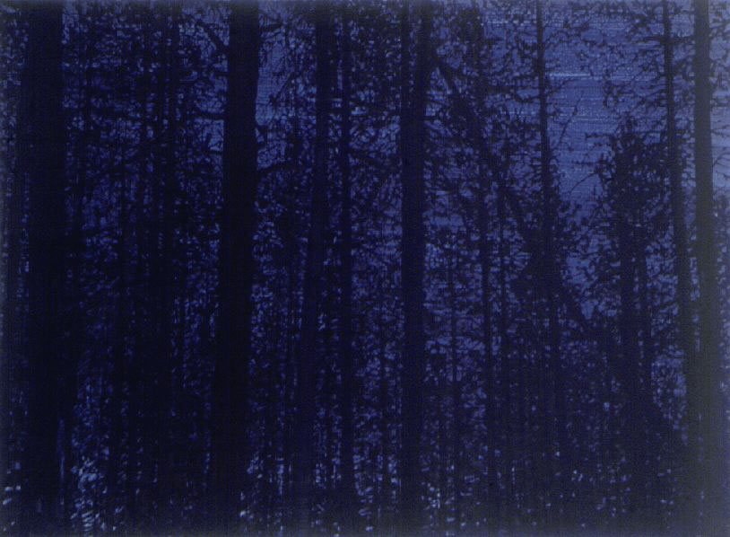 Senza titolo, 2002