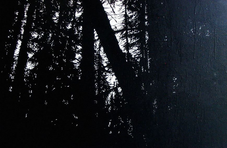 Bosco, 2003
