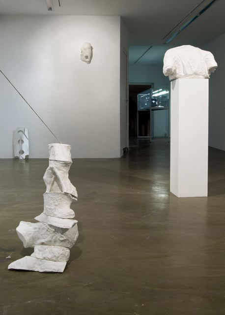 Torso, Column, Shoulders, 2009