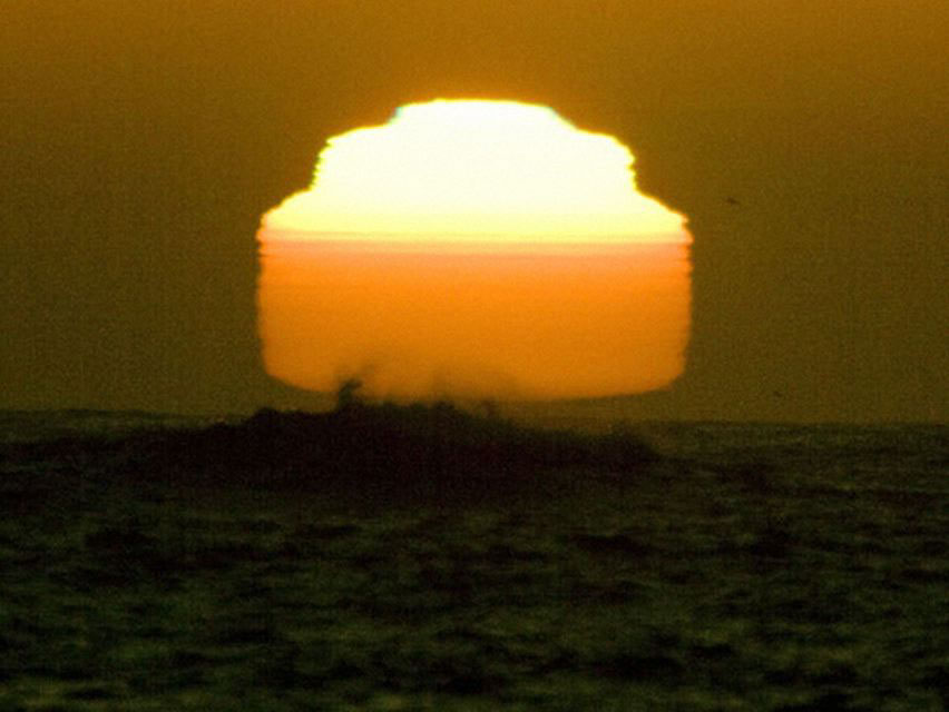Sun (one day old), 2008