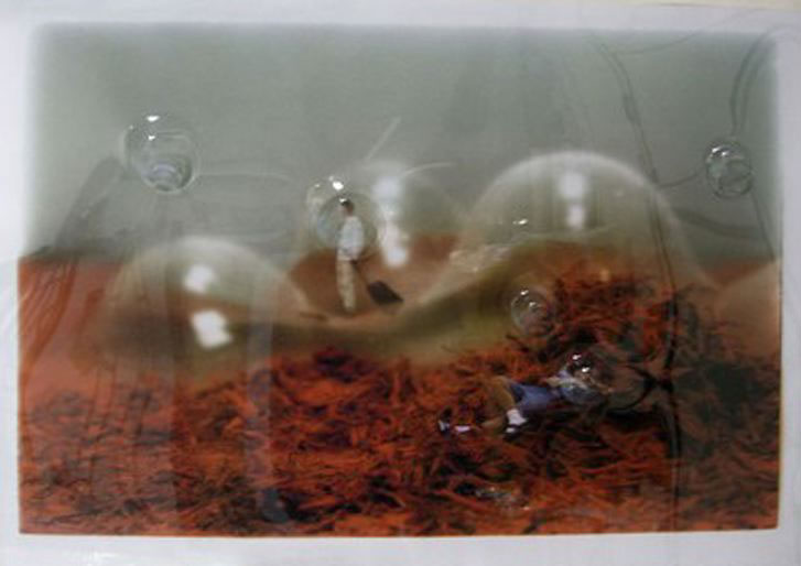 Wandering Sleeping Deep Areas (saffronpowderscape), 2006