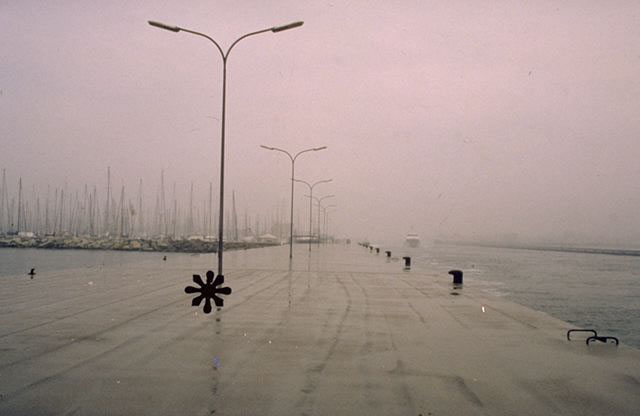 Senza valore affettivo, 1995