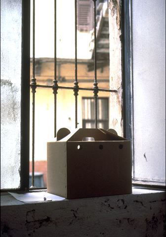 Piccione viaggiatore, 1994