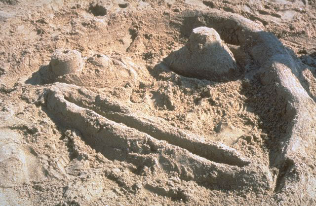 Colonia marina ‘96, 1996