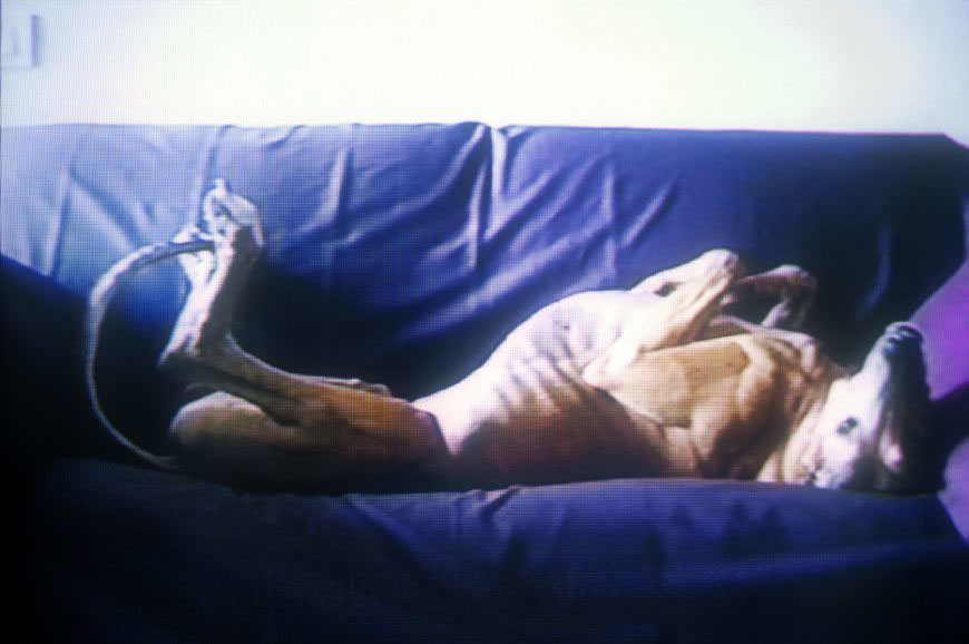 Gorin, 2000