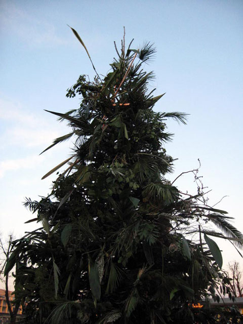 Alberi d’Artista, 2007