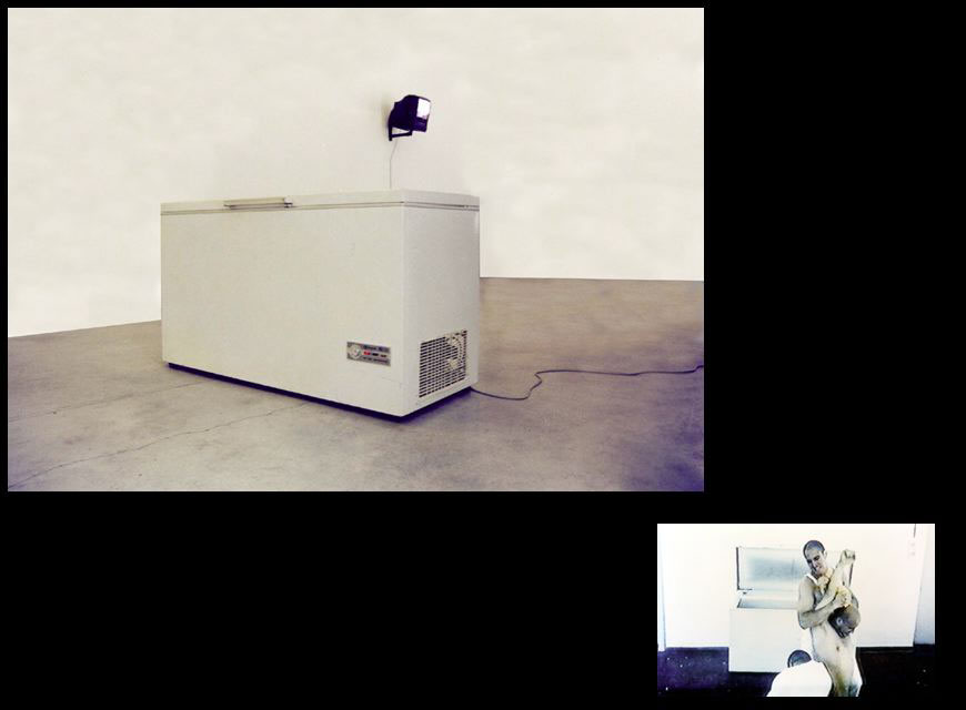Freezer, 1999