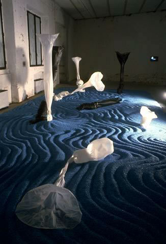 Geografia, 1993