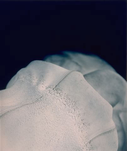 Untitled 51c, 1996