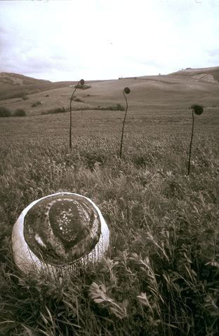 Considerare desiderare, 1988