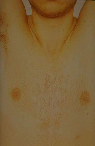 Senza titolo, 1996
