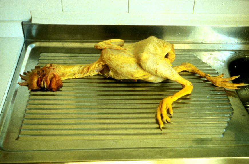 Senza titolo, 1997