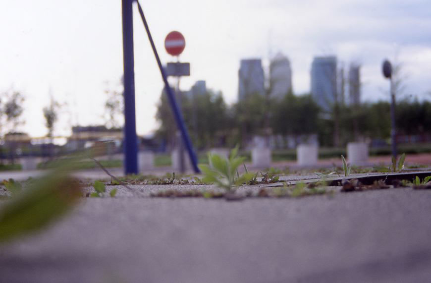Senza titolo, 2004