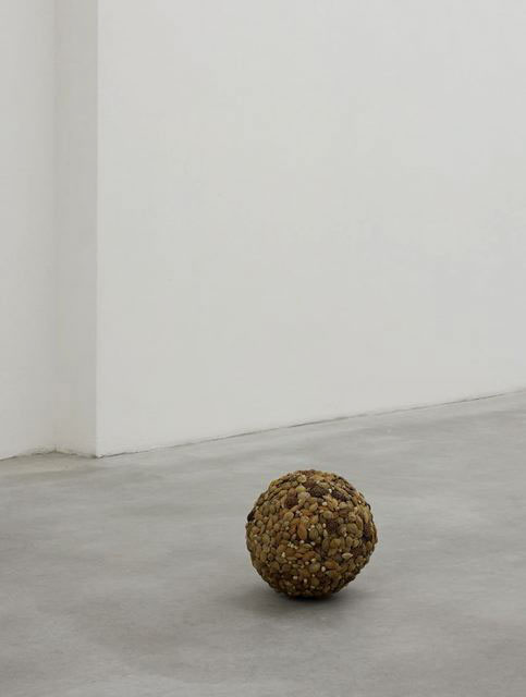Nocciolo, 2008