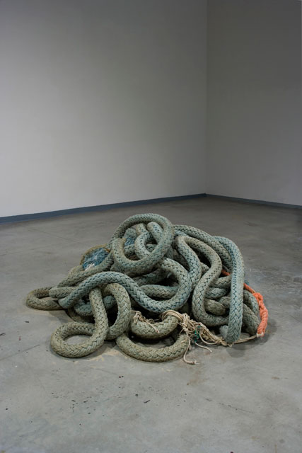 Diffrazione #1, 2010