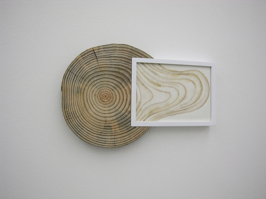 Totem (cassetti), 2010