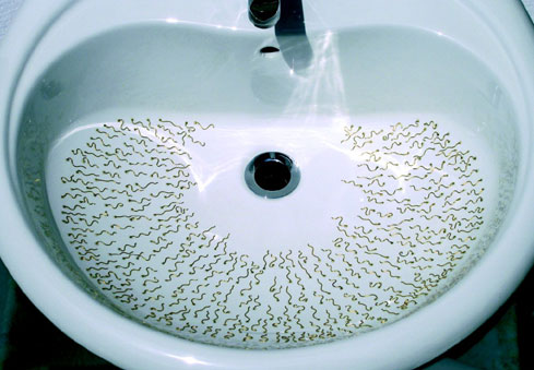 Sovrapproduzione, 2003