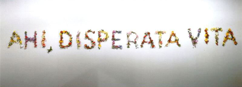 Ahi, disperata vita, 1987