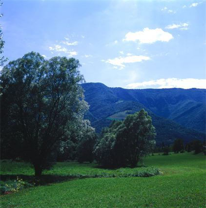 Autoritratto come Leonardo, 2005
