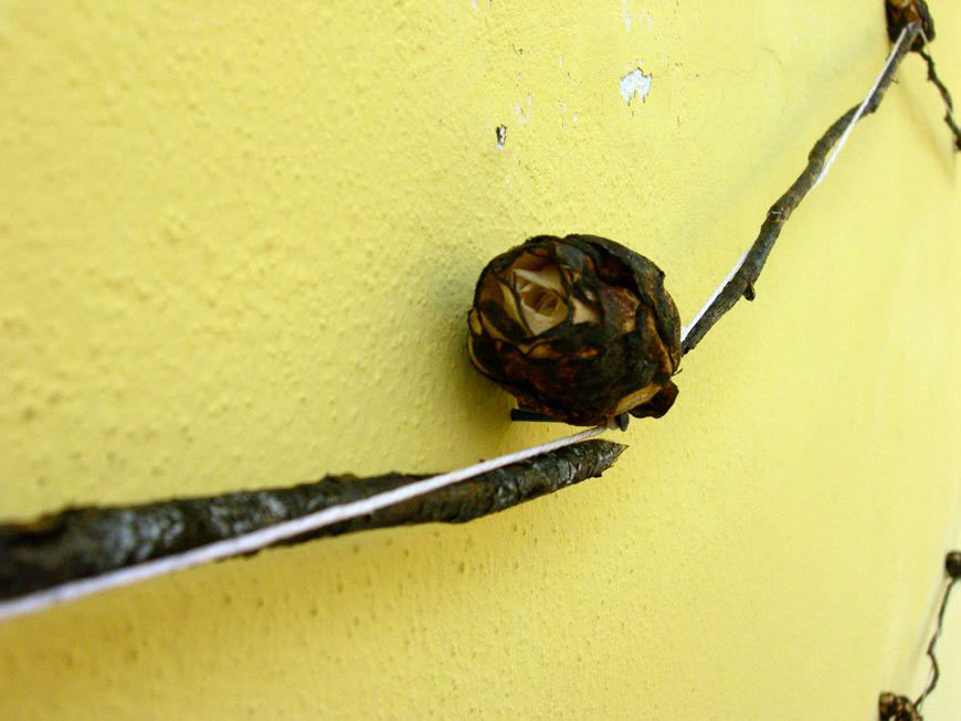 Autoritratto ribelle con natura morta, 2008