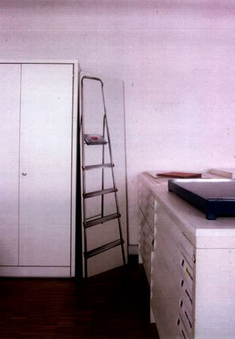 L’ospite, 1996