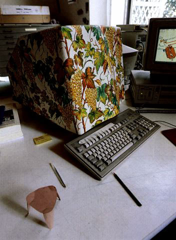 L’ospite, 1996